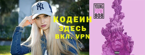 прущий лед Вяземский