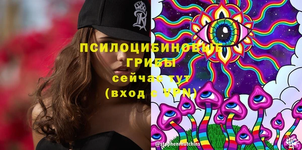 ГАЛЛЮЦИНОГЕННЫЕ ГРИБЫ Вязники