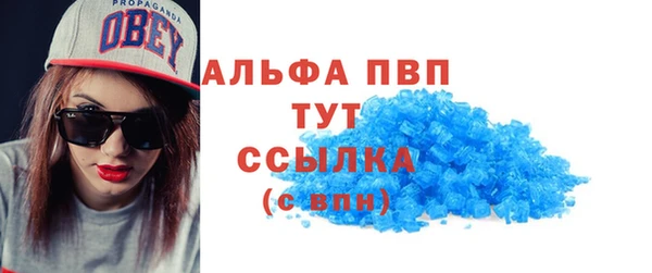 прущий лед Вяземский
