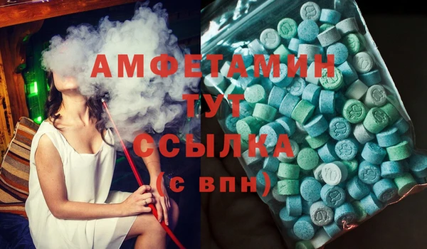 ГАЛЛЮЦИНОГЕННЫЕ ГРИБЫ Вязники
