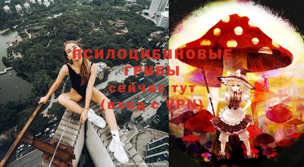 прущая мука Вязьма