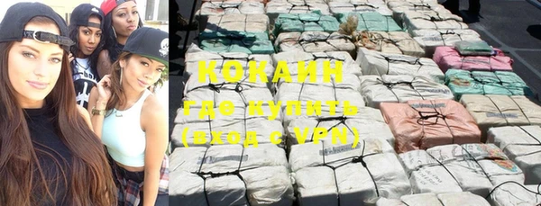 прущий лед Вяземский