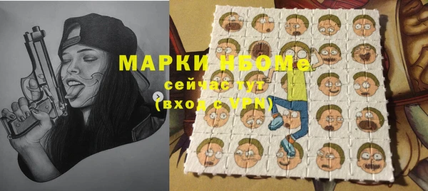 ГАЛЛЮЦИНОГЕННЫЕ ГРИБЫ Вязники