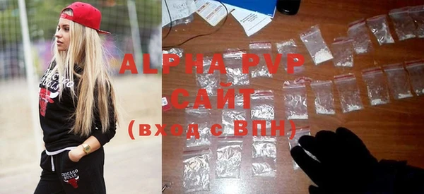 прущий лед Вяземский