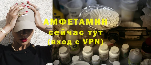 ГАЛЛЮЦИНОГЕННЫЕ ГРИБЫ Вязники