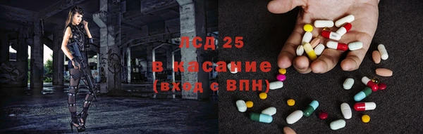 прущий лед Вяземский