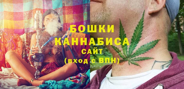 прущий лед Вяземский