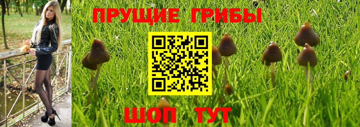 Псилоцибиновые грибы ЛСД Железногорск