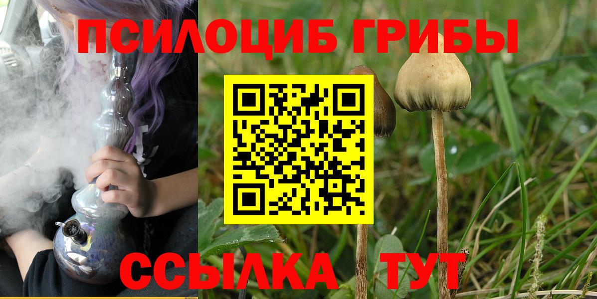 наркотики  Вход с VPN  Железногорск  Псилоцибиновые грибы прущие грибы 